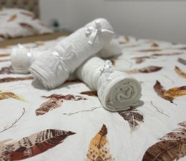 Novi Sad Apartamento | Mona lux