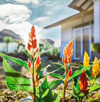 Nuwara Eliya Casa | Monaara Leisure - NuwaraEliya