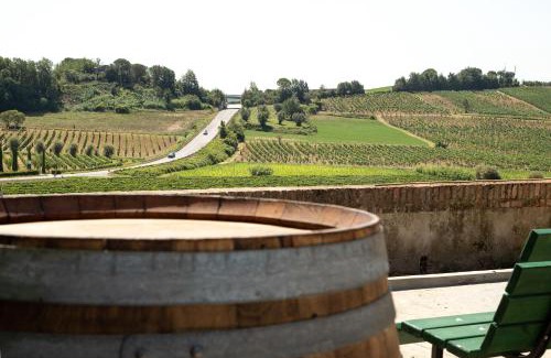 Vinci Casa | Monna Caterina Wine Resort