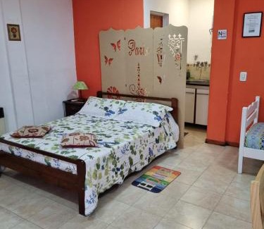 Gualeguaychu Apartamento | Monoambiente con TV y Heladera