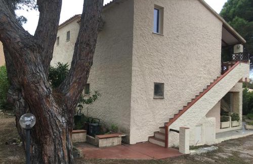 Rena Majore Apartamento | Monolocale a Rena Majore di Gallura