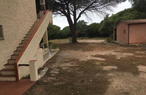 Rena Majore Apartamento | Monolocale a Rena Majore di Gallura