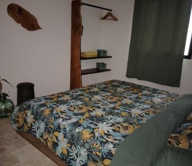 Le Centre Casa | Monstera Lodge