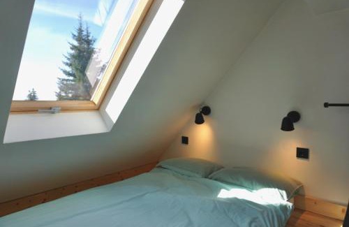 Lisina Chalet De Esquí | Montana Chalet