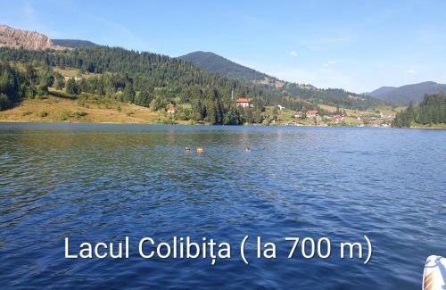 Bistrita Bargaului Casa | Montana Resort Colibita
