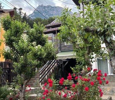 Busteni Apartamento | MontApart