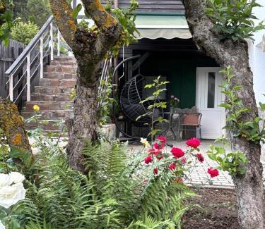 Busteni Apartamento | MontApart