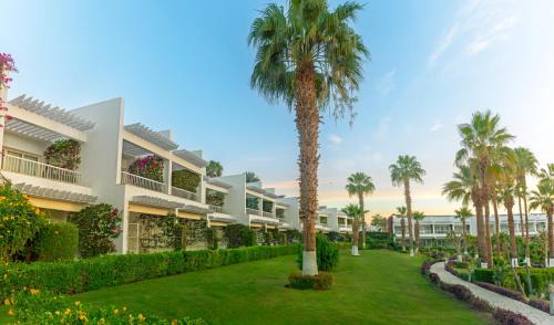 El Hadaba Complejo | Monte Carlo Sharm Resort & Spa