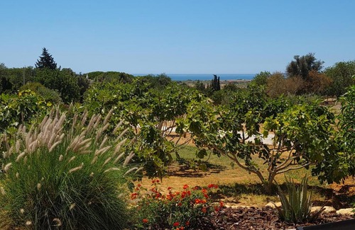Albufeira Cama Y Desayuno | Monte da Saudade