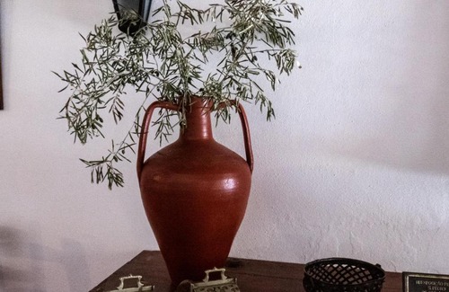 Arraiolos Casa | Monte das Oliveiras