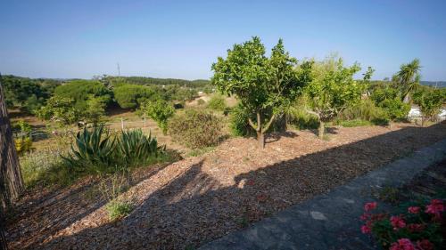 Sao Luis Chalet De Esquí | Monte dos Casarões Casa grande