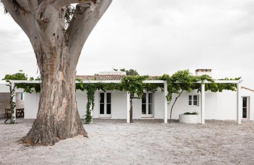 Castelo de Vide Casa | Monte dos Coureleiros