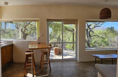 Coneta Casa | MONTE ZION