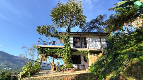 Jardin Otro | Montecafé Jardín