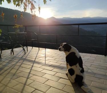 Jardin Otro | Montecafé Jardín