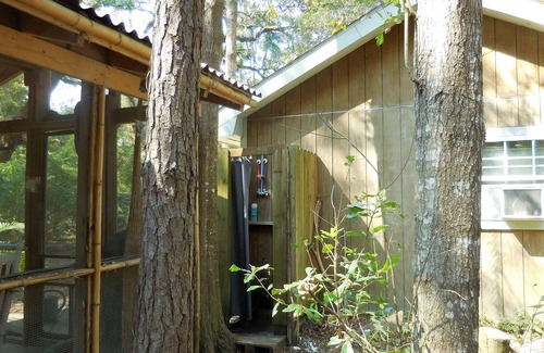 Edisto Island Cabaña | Sea Island con Encanto Cottage acurrucado bajo antiguos robles