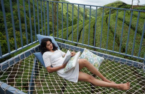 Elappara Complejo | Monticle Glamps