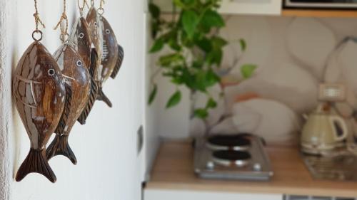 Loiri Porto San Paolo Casa | Montilisciu Cottage