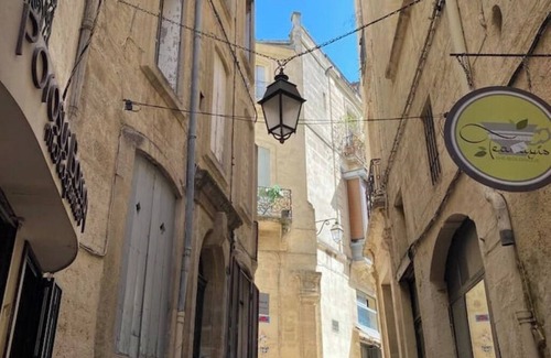 Montpellier City-Centre Apartamento | Montpellier Swallow in the heart of Montpellier's historic center