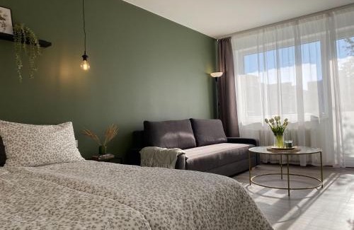Siauliai Apartamento | Moody apartments