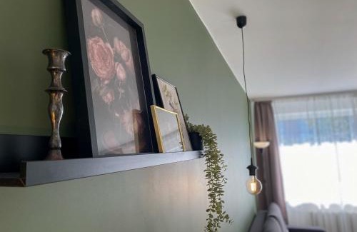 Siauliai Apartamento | Moody apartments