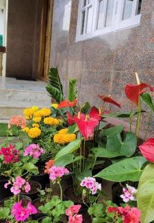 Mahadevpet Cama Y Desayuno | Moon Glade Cottage, Homestay Coorg, Madikeri