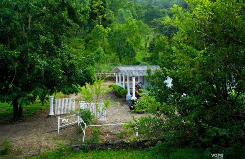Periyur Complejo | Moonlight Munnar Forest Bungalow with Private Waterfalls by VOYE HOMES