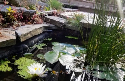 Westhaven-Moonstone Casa | Moonstone Sanctuary: Serene Retreat Near Moonstone Beach