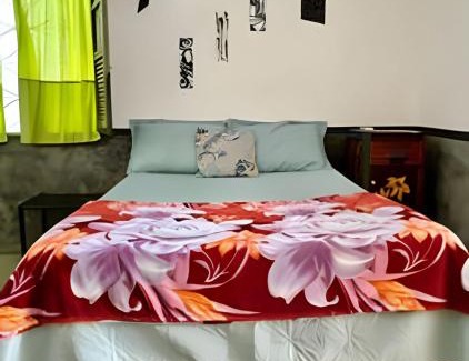 Cidade Velha Casa | Morada da Arte Vânia Braun