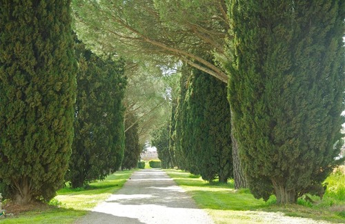 Castiglione del Lago Casa | Morami Wine Agriturismo