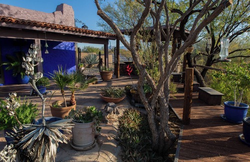 Tubac Casa | Más "personalizado" que personalizado ... 10 acres; Un tesoro para los observadores de aves