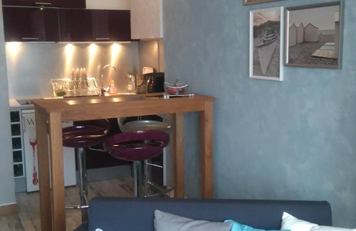 Le Grau-Du-Roi Apartamento | Capullo muy agradable, ofrece una vista excepcional del puerto a 100 metros de la playa.