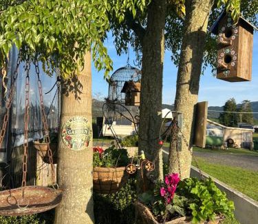 Aongatete Otro | Morepork Rural Oasis