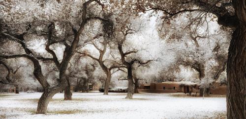 Corrales Cama Y Desayuno | Morning Star Bed & Breakfast of Corrales
