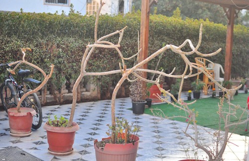 Sharm El Sheikh Apartamento | Morning Star Guesthouse