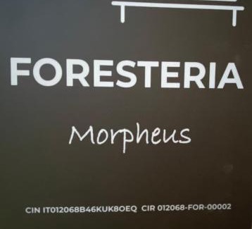 Ferno Casa | Morpheus