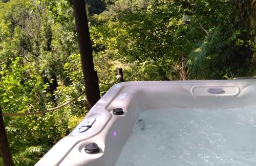 Carmarthen Otro | 'Morris' the shepherd's hut and woodland hot tub experience