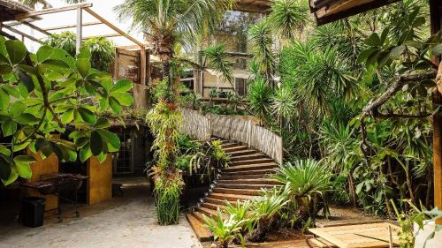 Itacoatiara Casa | Morro da Luz - Ypê GreenHouse