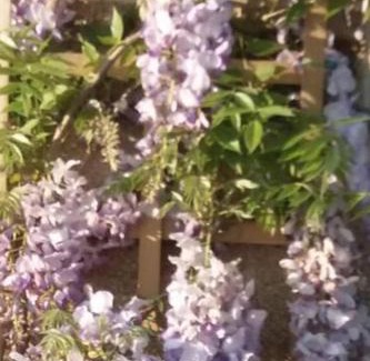 Mortain-Bocage Casa | Mortain-Bocage - 2-Bed Wisteria Cottage - Sleeps 4