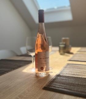 Schweich Apartamento | Mosel Home Apartments - Netflix - modern & zentral