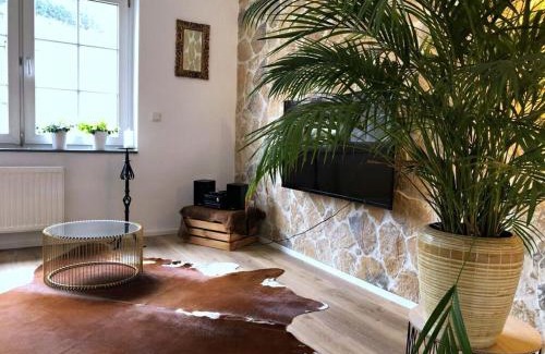 Mehring Apartamento | Moselle-side apartments