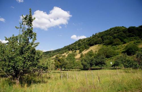 Kenn Apartamento | Moseltraum-Villa Kenn bei Trier
