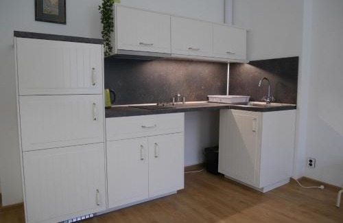 Karlovy Vary Apartamento | Moskevská 40