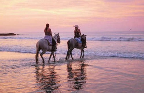 San Diego Casa | Most spectacular Eco Tiny Home on the Pacific Ocean: Gran Pacifica Luxury Resort