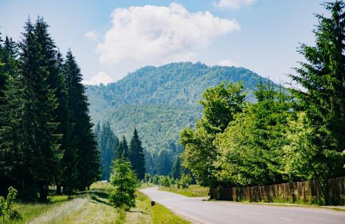 Covasna Otro | Motel Valea Zanelor