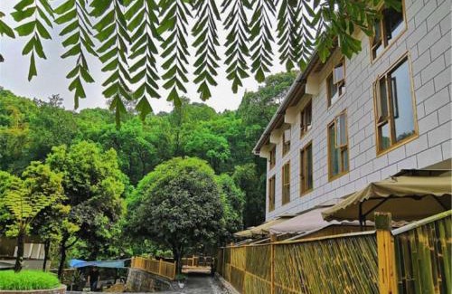 Emeishan Casa | Mount Emei Bamboo Private Hot Spring Bed and Breakfast