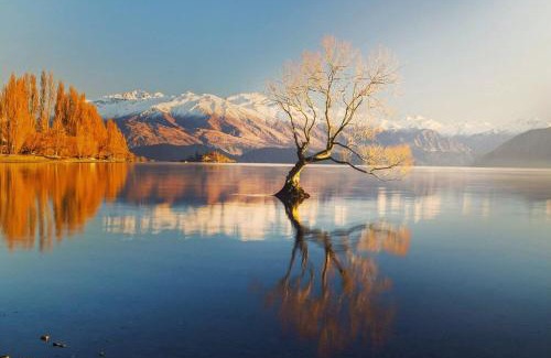 Albert Town Casa | Mount Views, Close To Wanaka Attractions -Love It!