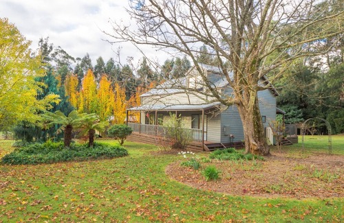 Marysville Casa | MOUNTAIN ASH LODGE set amongst the trees
