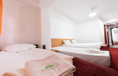 Cioplea Hotel | Mountain Breeze