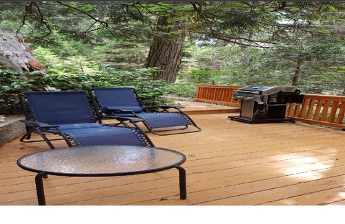 Lake Arrowhead Apartamento | Casa de montaña rodeado de bosques ~ The Beverly Hills de las montañas!